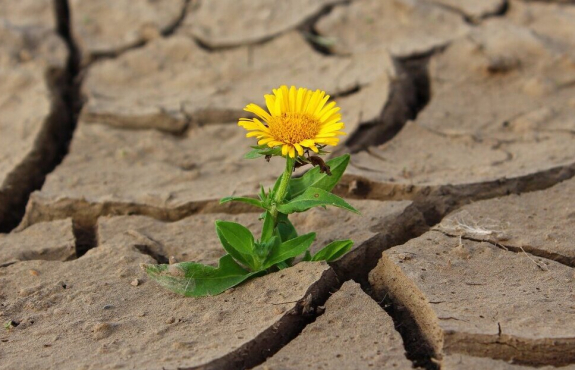 SỐNG YÊU THƯƠNG - NGHỆ THUẬT AN ỦI LÀM ẤM LÒNG NGƯỜI KHÁC