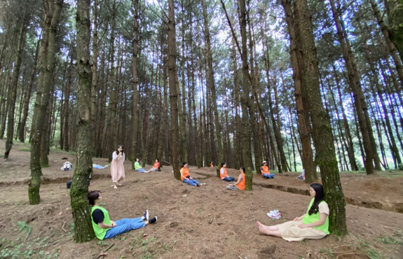 9 TÁC DỤNG CỦA "TẮM RỪNG" CÓ THỂ BẠN CHƯA BIẾT