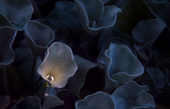 4 Cách thức mà chánh niệm có tác động tích cực đến giấc ngủ