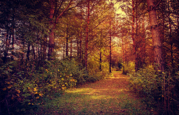 4 Mẹo tinh thần để tập luyện hiệu quả hơn